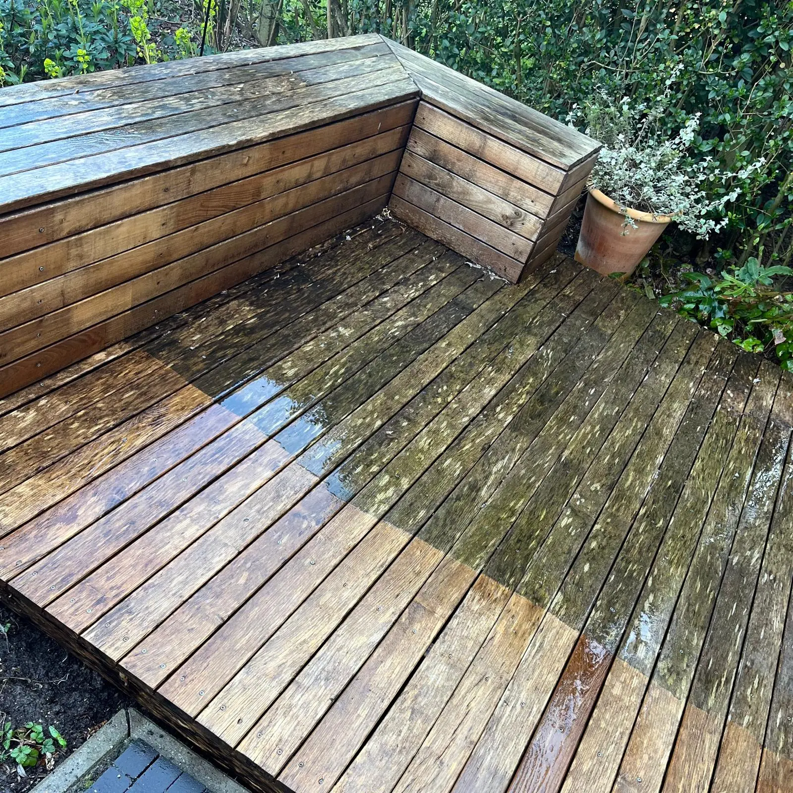 WhatsApp Image 2026 02 13 at 10.29.36 AM (5)